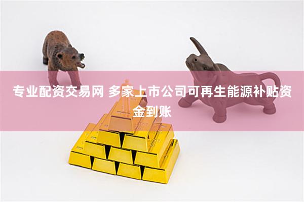 专业配资交易网 多家上市公司可再生能源补贴资金到账