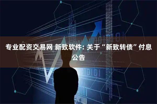 专业配资交易网 新致软件: 关于“新致转债”付息公告