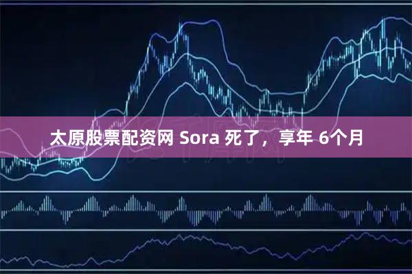 太原股票配资网 Sora 死了，享年 6个月